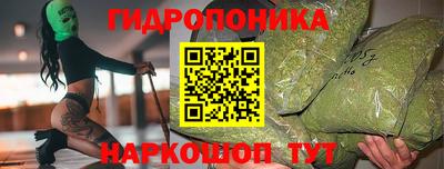 крисы Вышний Волочёк