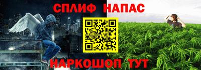 Альфа ПВП Вязьма