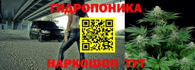 a pvp Гуково