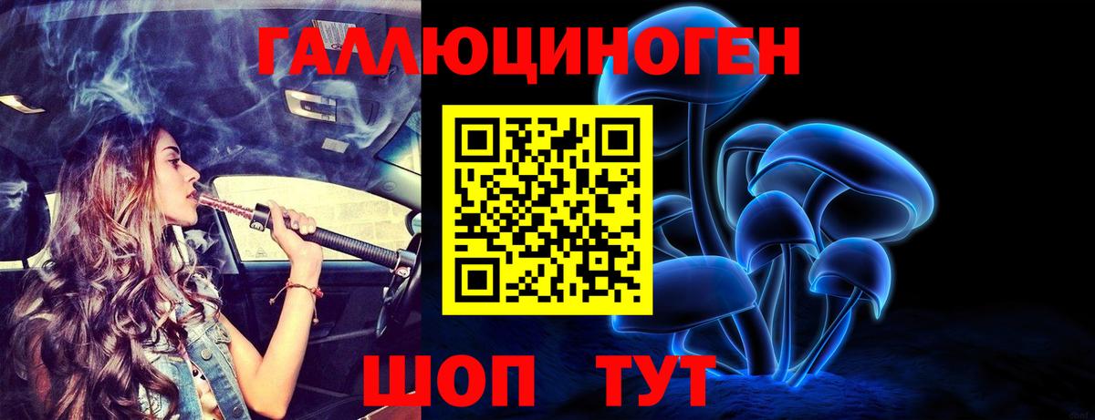 Псилоцибиновые грибы Psilocybine cubensis Южноуральск